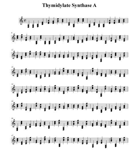  ,       ,    ,    ( Gene2Music).