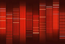          .        ,   - .      Ko-sin Printing                       ? (   pinktentacle.com).