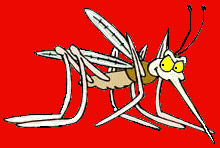 ��������� ������ �������� ��������� (����������� � ����� compoundsecurity.co.uk).