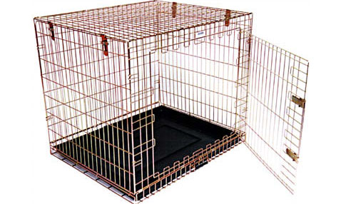 ������� ������ ������ ��� ������ � 0 �� 2 ��� (���� � ����� babycage.net).