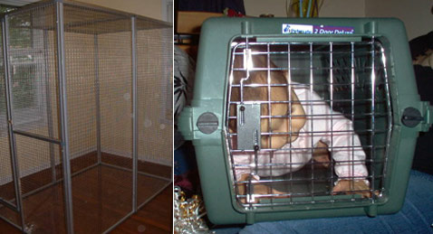 ������ ��� 17-������� ���������� � ��������� ��� �������� (���� � ����� babycage.net).