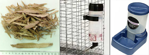 ����������� ��� ������� ������, ������ � �������� (���� � ����� babycage.net).