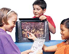 ���� ����� ������, �� ������������. �� ��� ����, ������� (���� forkidzonly.com).