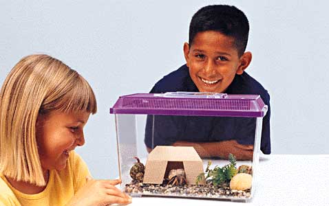 "����� ����������" � �������� (���� edu4kids.com).