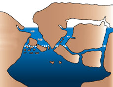      .    ""  20- .         ( U.S. Fish & Wildlife Service).