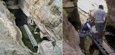          .     ,     ( Nevada Fish and Wildlife Office).