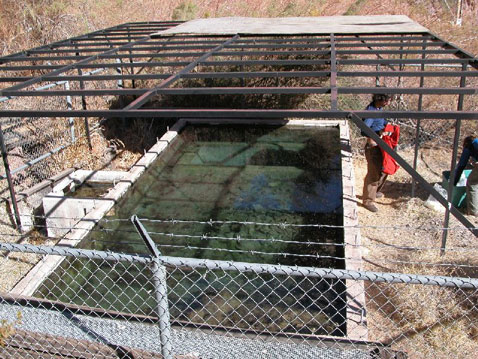      , ""   ( Nevada Fish and Wildlife Office).