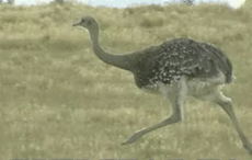   ,   ?         ( Fotosearch).