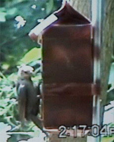   :      ( Jeff Hoover).