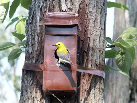    ,     ( Jeff Hoover).