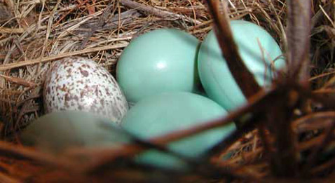      .   ,   ,   ,        ( Lara Hampton).