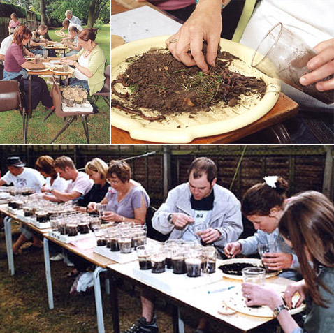   ,       .    :    ,      (   wormcharming.com).