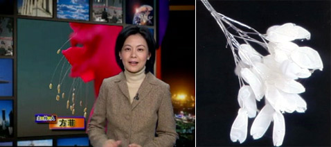   2006     New Tang Dynasty TV    (   ntdtv.com).