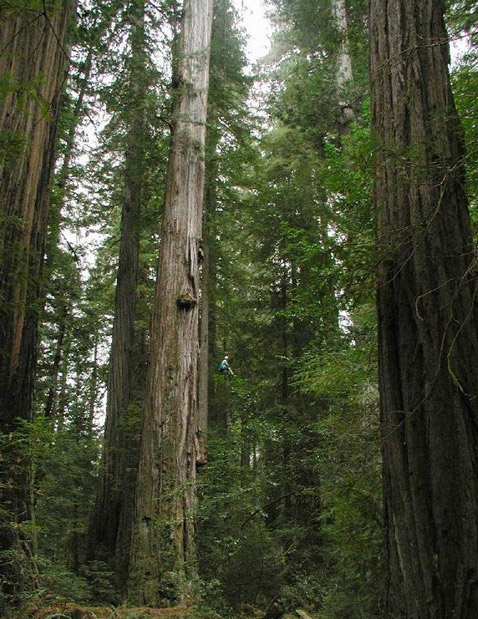  ,  ,    .  ? ( Thomas B. Dunklin).