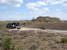   ,          ( Peter Wilf, Penn State).