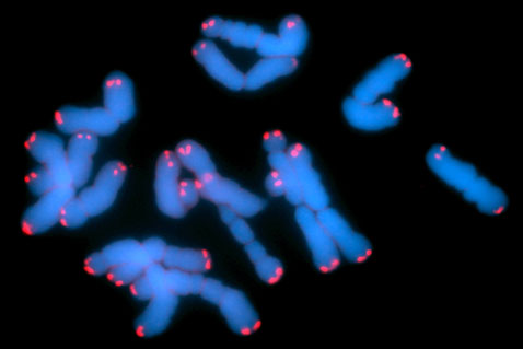 �� ���� ������ �� ������ ������ ���������, �������� ������� ���������� ������� (���� � ����� qmw.ac.uk).