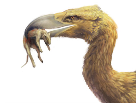            ( Stephanie Abramowicz).