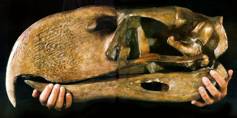      " ",     "" (   harve9.tripod.com).