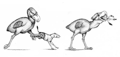    :    .  -    (   harve9.tripod.com).