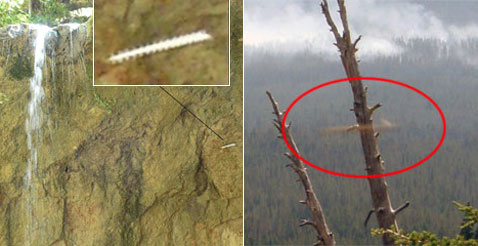    .                (   ashineko.seesaa.net).