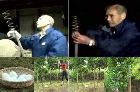 : c                    . :           .     .  -  ?.. (   youtube.com).