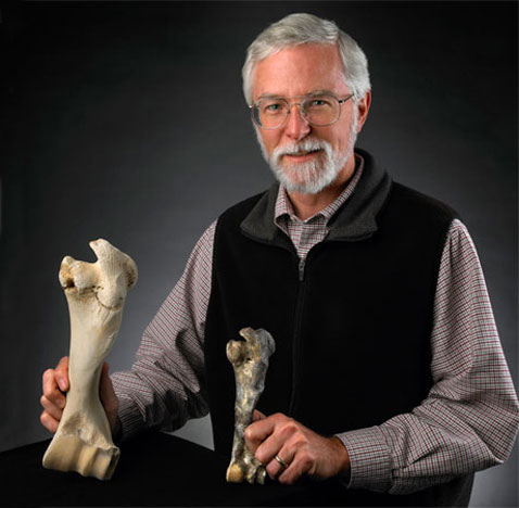         (  )    <i>Bubalus cebuensis</i> ( John Weinstein/The Field Museum).