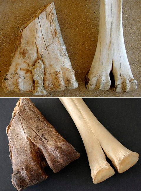   ,   (,  , )      -.   ,       (   unizh.ch  netzeitung.de).