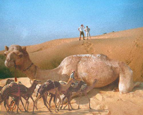       ""   Chupakabra,      Worth1000.com.