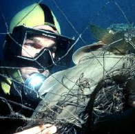 ����������� �������� �� ������ �� ������ � �� ����������� ����, �� � ��� �����. ��� ����, ��������, ����� � ��������� ������ ������������� � ��������� � ���������� ����� �������� (���� � ����� ens-newswire.com).