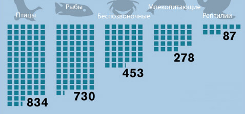 ���� ������ �� �������� ����������� ������������� � ��������� ������, ����� ��������� ����� �� 2000-2006 ���� (����������� � ����� oceanconservancy.org).