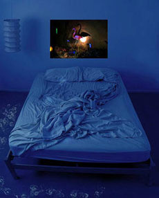  (Bedroom, 2005 ).           ,    .     ,        :       ,       ( Laurie Tmer).