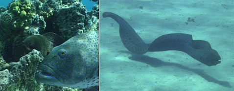           ,    .       :     ,   ,      (   unine.ch).