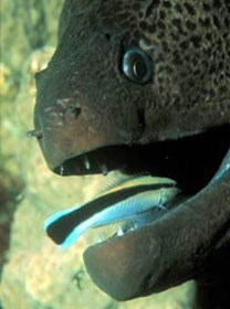   ,        - (   unine.ch).