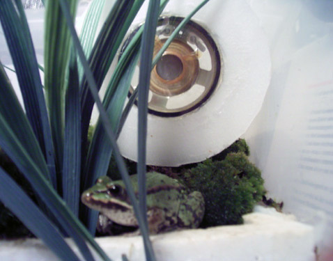     ,   .        ,     .  - (   flickr.com).