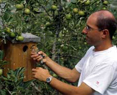    . ,    ,     . ,   ,     (   vogelwarte.ch).