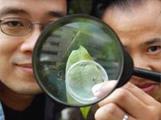    (, ,      )  -         ( Joyce Fang).