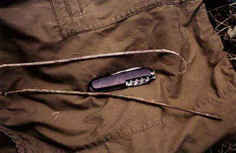 ������������ ���� Bwindi, ������, 2000 ���. ��� ����������� �������� ���� ������� � ��������� ��������, ��� ���� ����� (���������� ��� ������� ��� ���������, �������). ��� ������� ����� ����������� �� ��� ���� ������������ (�����, �������� �� ����� � �������). ����� ������� ���� �������� ������ � ��������, ��� ���� ����� ������ ����, ����� ������� ���� � ������ � ��������, ��� ���� ����� ������� ����. � ��� � ������ "�����" ��������� "�������" ��������� ��������. ��� ����� ���� ������� �� ������� � �����, � ���� �� ������ ������ ����� � �� ����; ����� ����� ��� ��� ��� ���� (���� � ����� www-rcf.usc.edu).