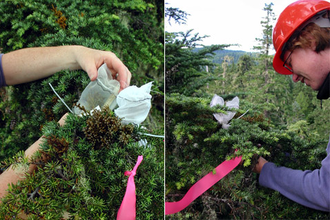       (   depts.washington.edu).