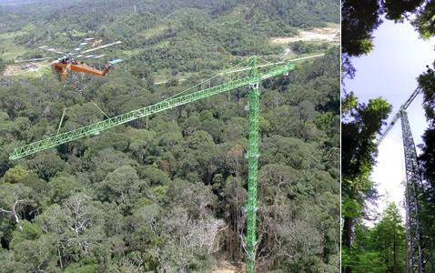         (   depts.washington.edu).