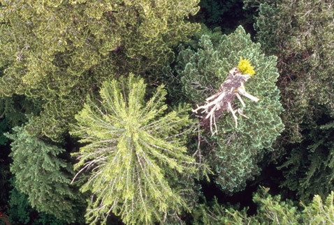       ,   (   depts.washington.edu).