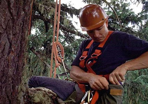       :       (   depts.washington.edu).