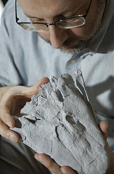     " " ( Dan Dry/University Of Chicago/Associated Press).