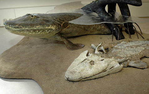          ( University of Chicago).