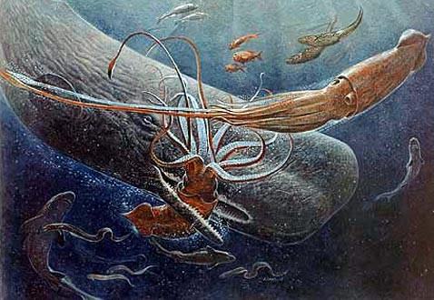       .    ( John Dawson/National Geographic Society).