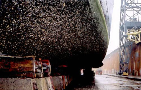     .    - ( Chris Anderson).