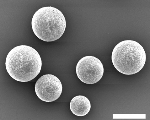 BioBullets  ""    (SEM).      100  ( American Chemical Society).
