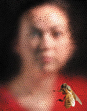        .  ,        ( Journal of Experimental Biology).