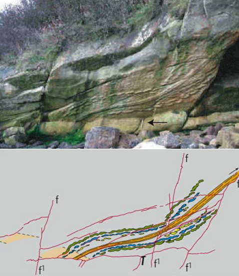       .     .    .  f     (   Nature/Martin Whyte).