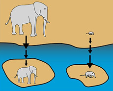     ,       :  (, ) ,   (, )   ( MBARI).