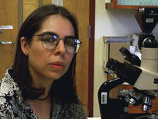   : "   ,   -  " ( W. Maddison).